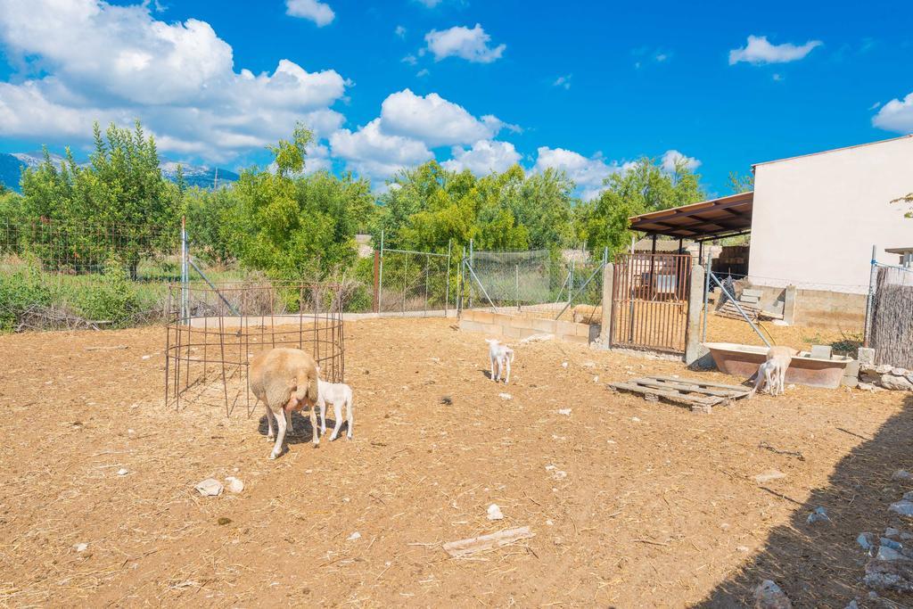 Granja Villa Инка Екстериор снимка