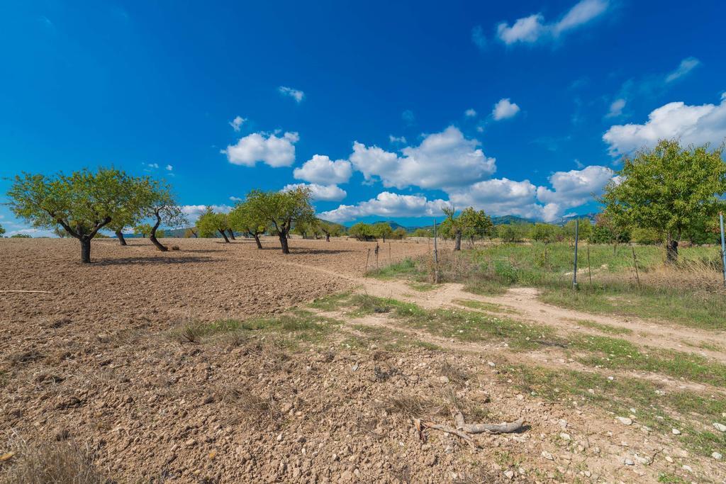 Granja Villa Инка Екстериор снимка